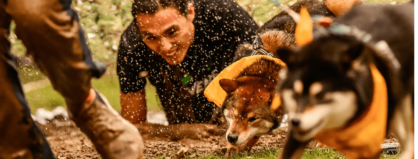 Galerie Shibalade 10