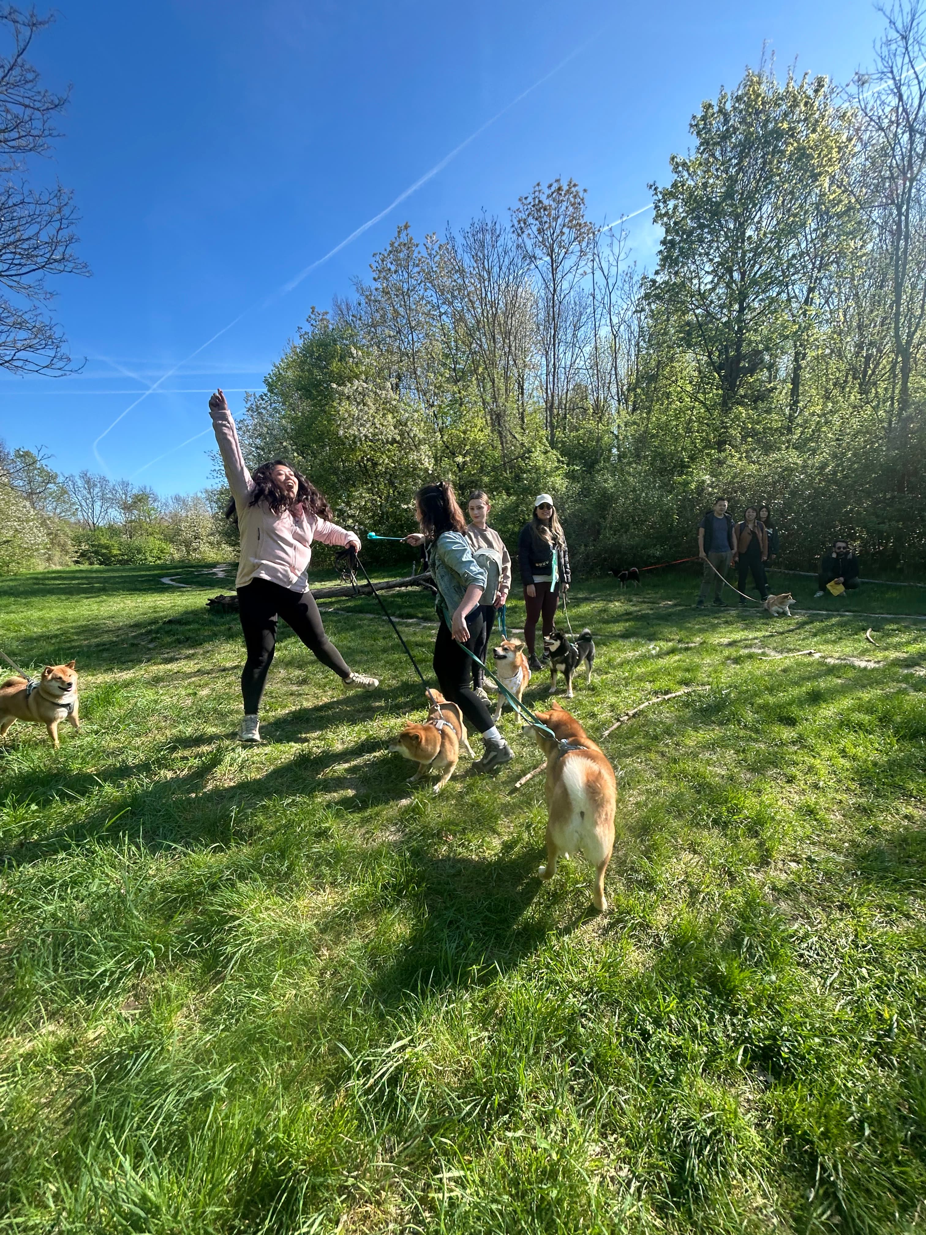 Chasse aux friandises