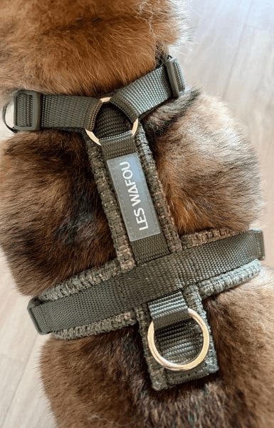 welcome-pack-2026-4b