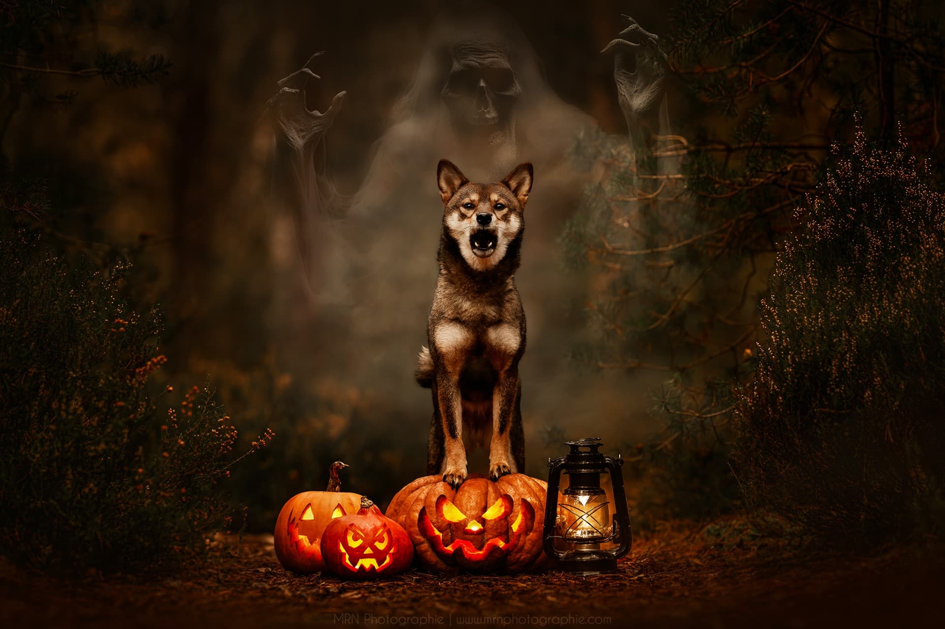 Shooting Halloween