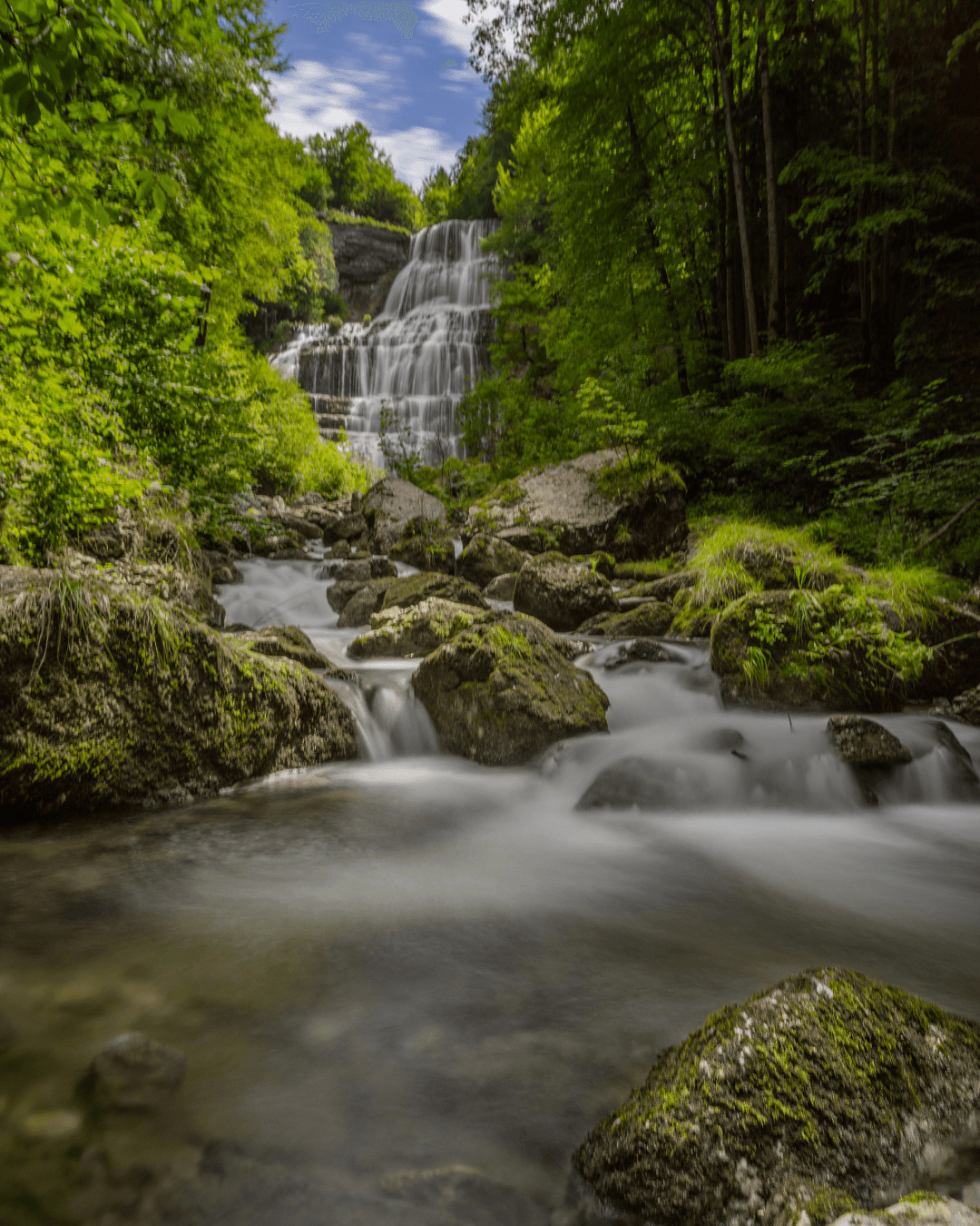 Sur les sentiers du Jura avec la ShiBalade