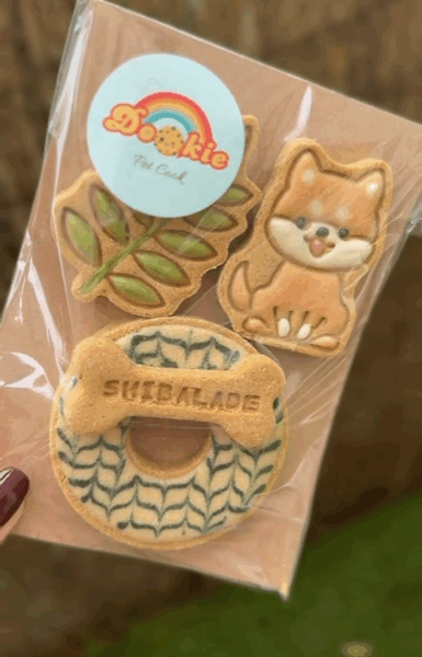 welcome-pack-2026-1b